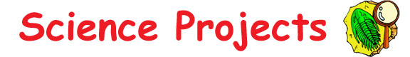 Fun Science Fair Projects for Kids